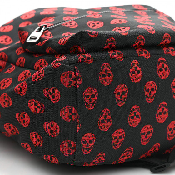 ALEXANDER MCQUEEN Skull backpack リュック ALEXANDER MCQUEEN Nylon Skull Print Backpack Black Red