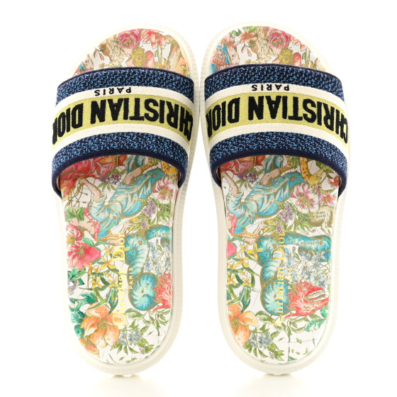 CHRISTIAN DIOR Canvas D-Constellation Embroidered Dway 10mm