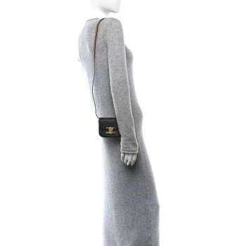 CELINE Triomphe Canvas Calfskin Mini Claude Tan