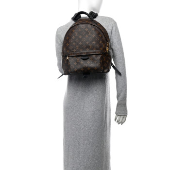 LOUIS VUITTON Monogram Palm Springs Backpack MM