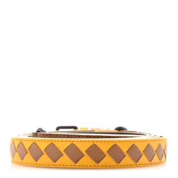BOTTEGA VENETA Nappa Snakeskin Intrecciato Wrap 20mm Belt Cammello