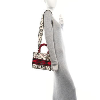CHRISTIAN DIOR Canvas Medium DiorAmour Graffiti Lady D-Lite Latte