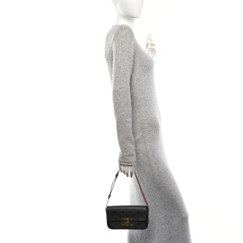 CELINE Canvas Calfskin Triomphe Shoulder Bag Tan