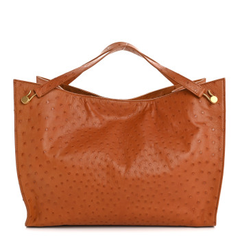 THE ROW Ostrich Alexia Bag Caramel
