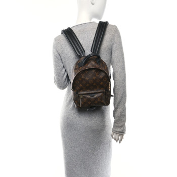 LOUIS VUITTON Monogram Palm Springs Backpack PM
