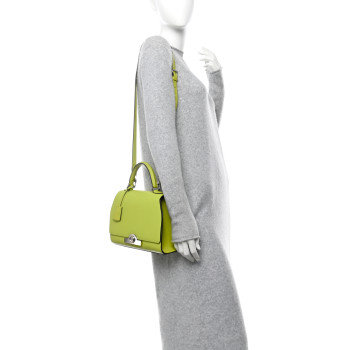 MOYNAT Carat Calfskin Rejane PM Anis