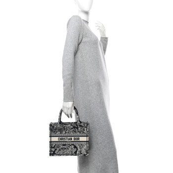 CHRISTIAN DIOR Canvas Embroidered Small Dioriviera Toile De Jouy Book Blue