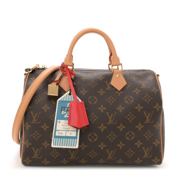 LOUIS VUITTON Monogram Speedy Soft 30  Crafty Red