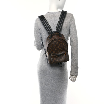 LOUIS VUITTON Monogram Palm Springs Backpack PM