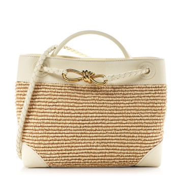 BOTTEGA VENETA Raffia Calfskin Small Andiamo Shoulder Bag Sea Salt Natural