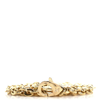 LOUIS VUITTON Felicie Chain Long Shoulder Strap