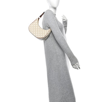 CELINE Canvas Calfskin Ava Triomphe Shoulder Bag White