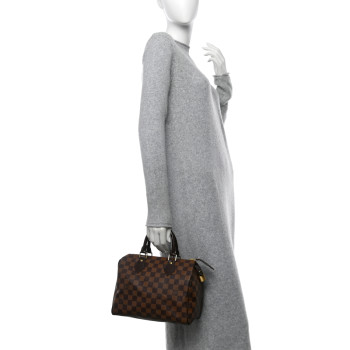 LOUIS VUITTON Damier Ebene Speedy 25