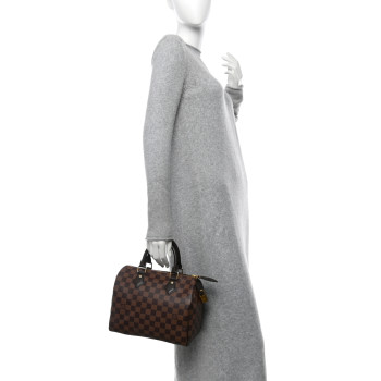 LOUIS VUITTON Damier Ebene Speedy 25