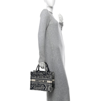 CHRISTIAN DIOR Canvas Embroidered Small Dioriviera Toile De Jouy Book Tote Blue