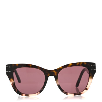 CHRISTIAN DIOR Diorsignature B4I Sunglasses Tortoise