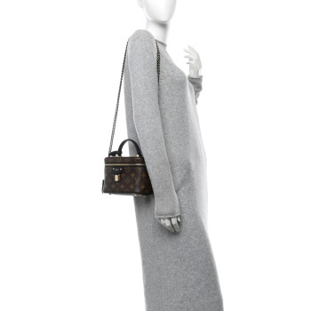 LOUIS VUITTON Reverse Monogram Vanity Chain Pouch