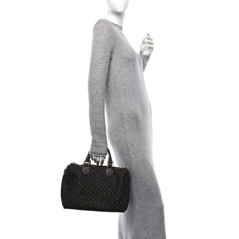 LOUIS VUITTON Mini Lin Speedy Bandouliere 30 Ebene