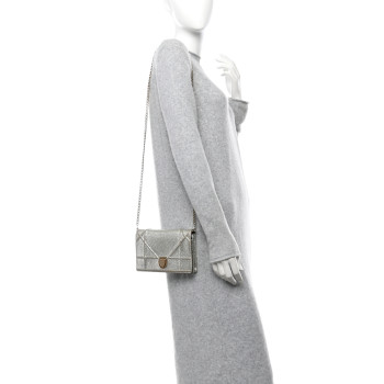 CHRISTIAN DIOR Metallic Ceramic Effect Deerskin Diorama Wallet on Chain Pouch Silver