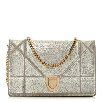 CHRISTIAN DIOR Metallic Ceramic Effect Deerskin Diorama Wallet on Chain Pouch Silver