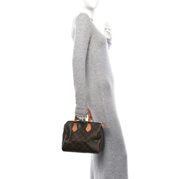 LOUIS VUITTON Monogram Speedy 25