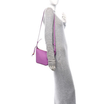 LOEWE Calfskin Mini Hammock Hobo Rockrose