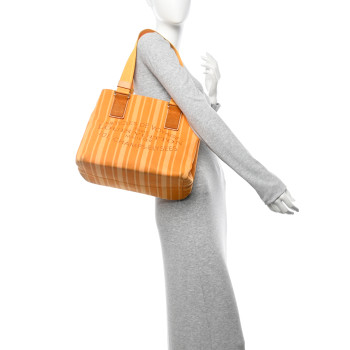 LOUIS VUITTON Denim Articles de Voyage Cabas Ocre
