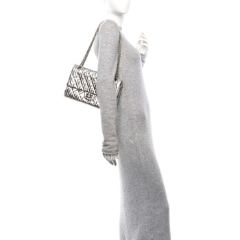 CHANEL Metallic Striped Calfskin 2.55 Reissue 226 Flap Silver