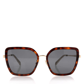 CELINE Acetate Square Sunglasses CL 40221U Tortoise