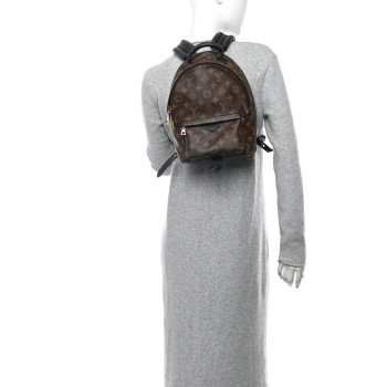 LOUIS VUITTON Monogram Palm Springs Backpack PM