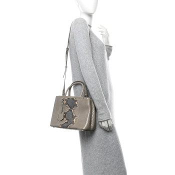 FENDI Snakeskin Petite 2Jours Tote Beige Multicolor