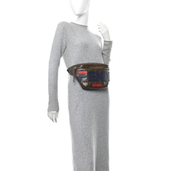 FENDI X FILA Glazed Fabric Vitello Century FF 1974 Mania Belt Bag Mogano Panna Blueberry