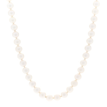 MIKIMOTO 18K Yellow Gold Akoya Cultured Pearl 7-7.5mm Strand Necklace 14"