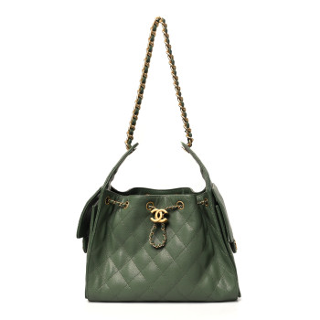 CHANEL Caviar Quilted Small Chanel 25 Handbag Khaki