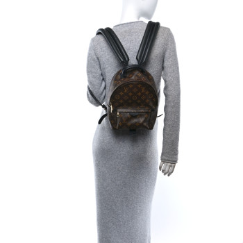 LOUIS VUITTON Monogram Palm Springs Backpack PM