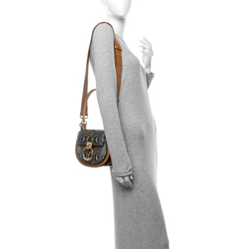 CHLOE Calfskin Watersnake Embossed Small Tess Bag Brown Multicolor