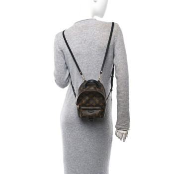 LOUIS VUITTON Monogram Palm Springs Backpack Mini