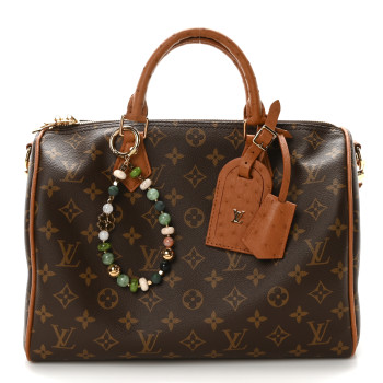 LOUIS VUITTON Monogram Speedy Soft 30 Boho
