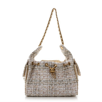 CHANEL Tweed Quilted Small Chanel 25 Handbag White Multicolor