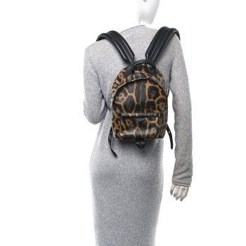 LOUIS VUITTON Wild Animal Print Palm Springs Backpack PM