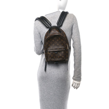 LOUIS VUITTON Monogram Palm Springs Backpack PM