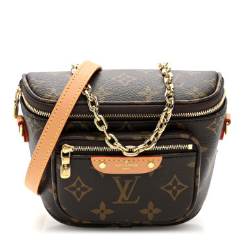 LOUIS VUITTON Monogram Mini Bumbag