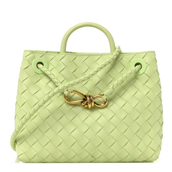 BOTTEGA VENETA Nappa Intrecciato Small Andiamo Shoulder Bag Fennel