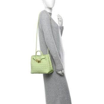 BOTTEGA VENETA Nappa Intrecciato Small Andiamo Shoulder Bag Fennel