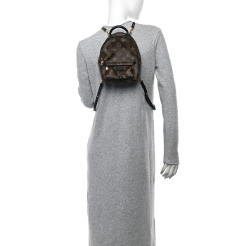 LOUIS VUITTON Monogram Palm Springs Backpack Mini LOUIS VUITTON Monogram Palm Springs Backpack Mini