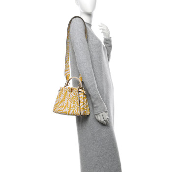 FENDI X SARAH COLEMAN Vitello Liberty Shiny Nappa Plexiglass FF Vertigo Mini Peekaboo Iconic Satchel Mimosa White