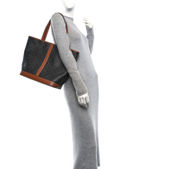 CELINE Triomphe Canvas Calfskin Medium Cabas Bag Tan