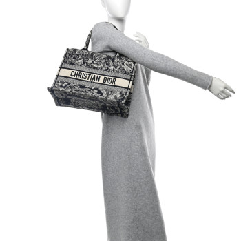 CHRISTIAN DIOR Canvas Embroidered Medium Toile De Jouy Reverse Book Tote Blue