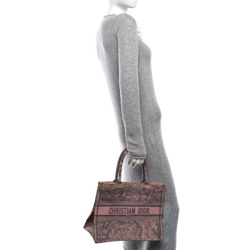 CHRISTIAN DIOR Canvas Embroidered Medium Dioriviera Toile De Jouy Book Tote Pink Grey