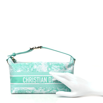 CHRISTIAN DIOR Technical Fabric Toile De Jouy DiorTravel Nomad Pouch Vert Multicolor